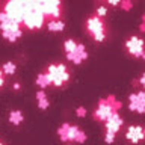 Meet your Posher, Magnus gray